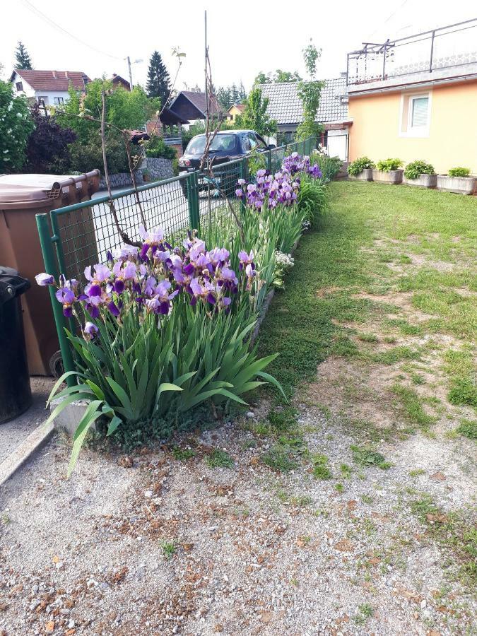 Iris Room & Apartment Szluin Kültér fotó