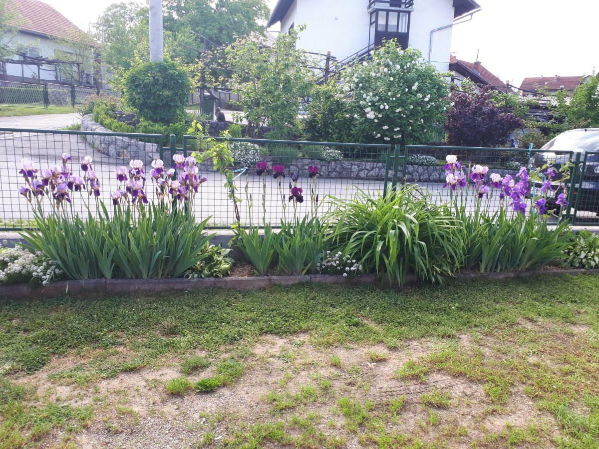 Iris Room & Apartment Szluin Kültér fotó